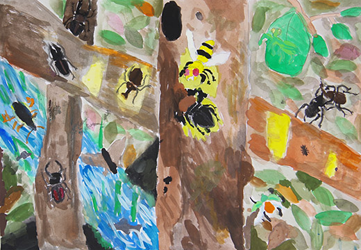 ぼくの大すきなこん虫たち