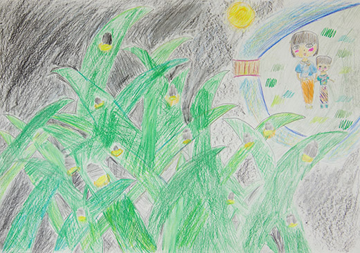 ホタルのすみか