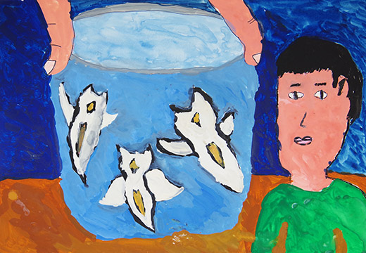 北海道で見たクリオネ