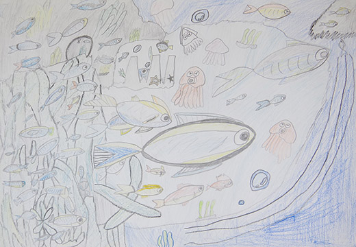 海の生き物大集合！