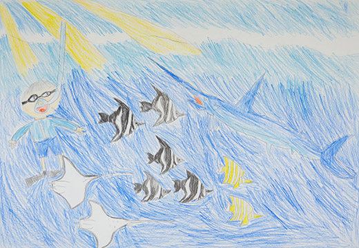 カラフルできれいな海