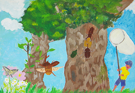 僕の大好きな自然