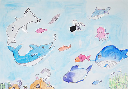 海のそこの仲間たち