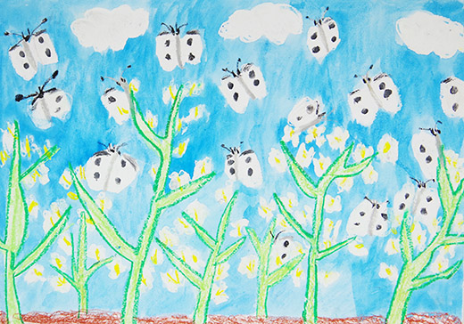 こんなにいたよモンシロチョウ