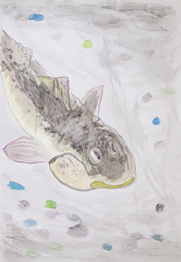 ぼくの大好きなハゼ