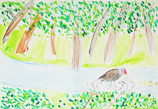 森とバン（鳥）