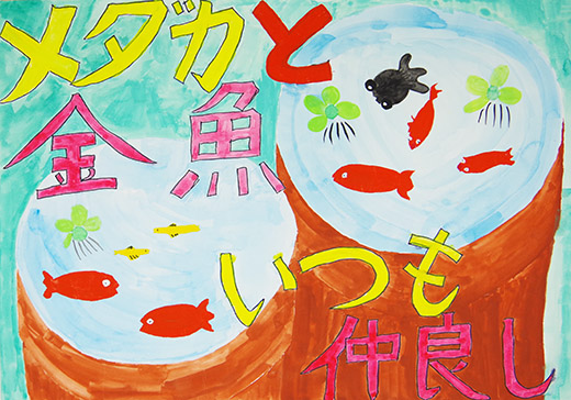 メダカと金魚いつも仲良し