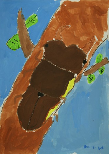 木にのっているクワガタ