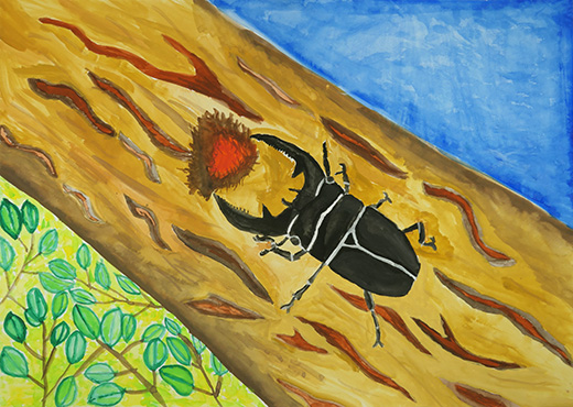 クワガタのデザート