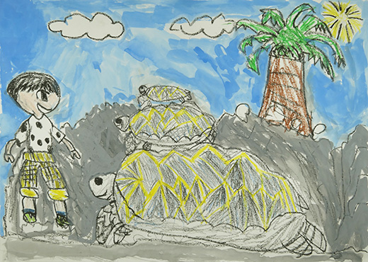 ビルマホシがめ