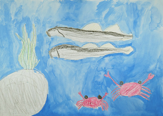 ことしの夏につかまえた生きもの