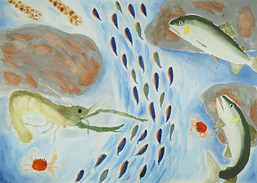 清流に住む生き物