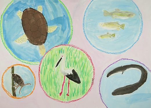 ぜつめつきぐ種を大切に