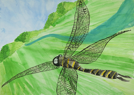 とんぼのとんで行くさきは・・・！！