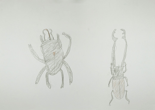 ギラファノコギリクワガタとアプティオンゾウカブト