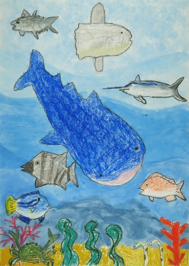 大きいジンベイザメとなかまたち