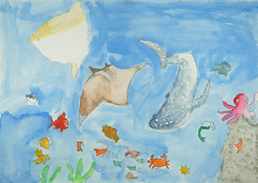 ジンベイザメのいる海