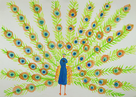 きれいなクジャク