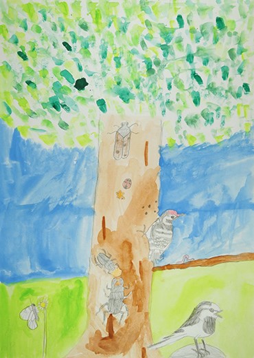 木のマンション