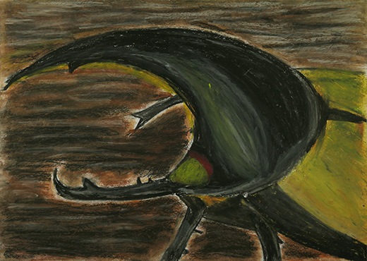 自然の中にたくましく生きるヘラクレスオオカブト