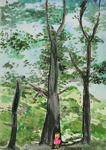 見たことのない木