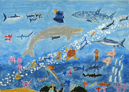 たいせつにしたい海