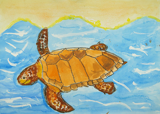 大すきな海がめ