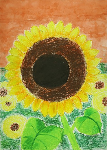 夕暮れのひまわり