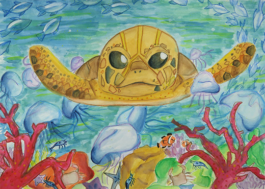 守りたいきれいな海