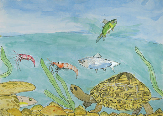 日本の川の生きもの