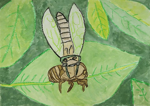 せみうまれたよ