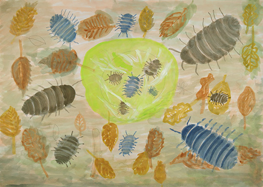 大好きなダンゴムシ