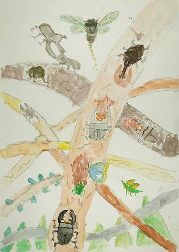 100年先まで守りたい自然