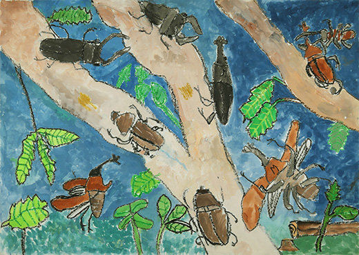 がんばれカブトムシ　～カブトムシとクワガタのものがたり～