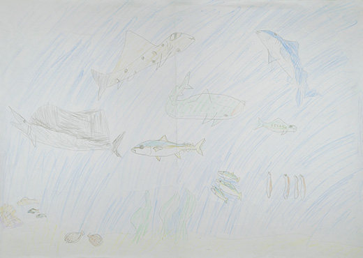 100年先も守りたい魚