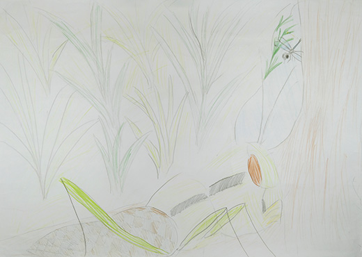 かけがえのない環境