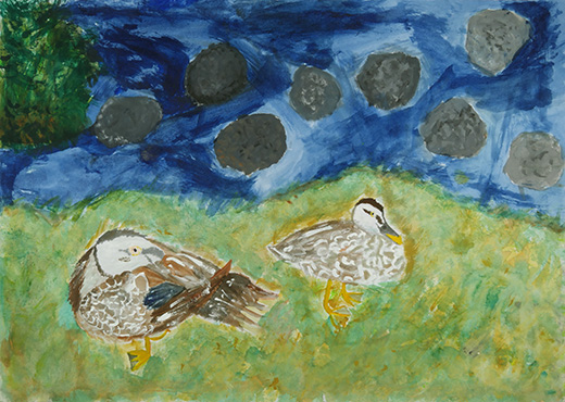 しずかなかるがも