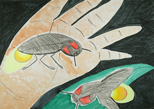 わたしとほたる