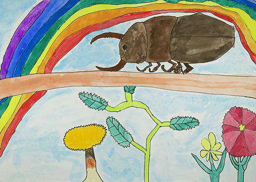 クワガタムシとにじ