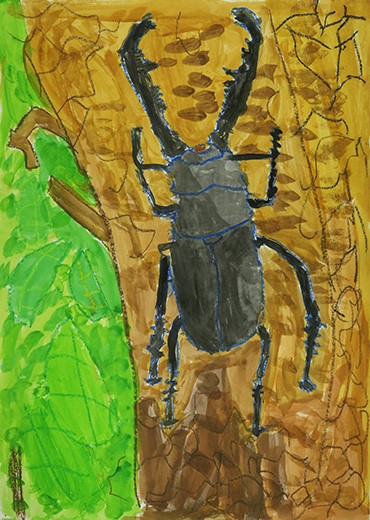 だいすきなくわがた