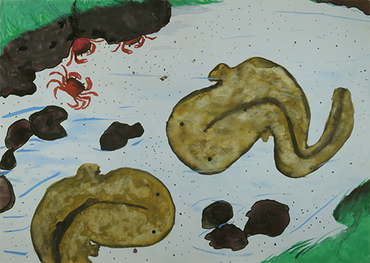 オオサンショウウオも住めるきれいな川