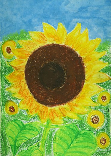 真夏のひまわり