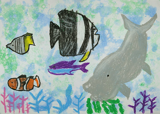 美しい海の生き物を大切に