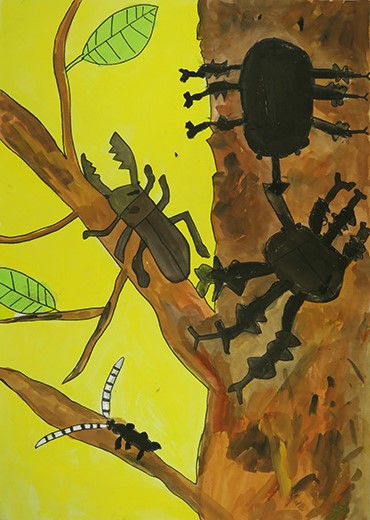 かぶとむし たい かぶとむし