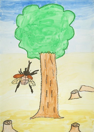 かぶとむしのもり