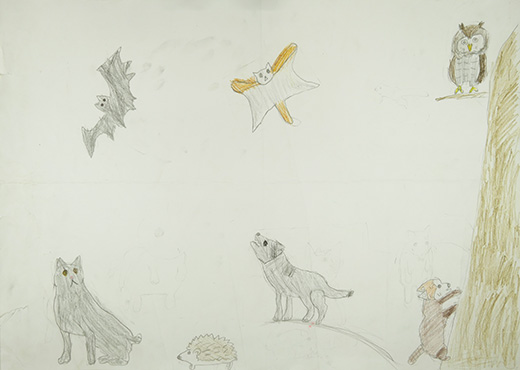 生き物を大切に