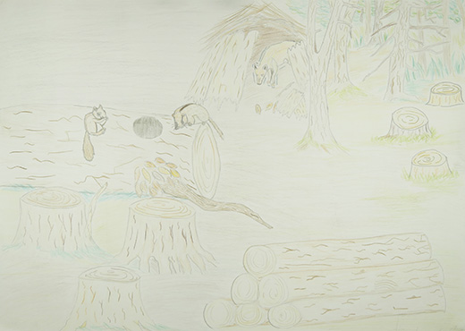 大切にして！動物たちの森