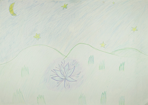 夜空に浮かぶ花