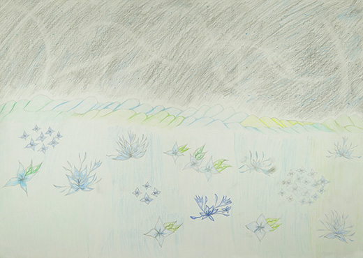 麗しの自然たち