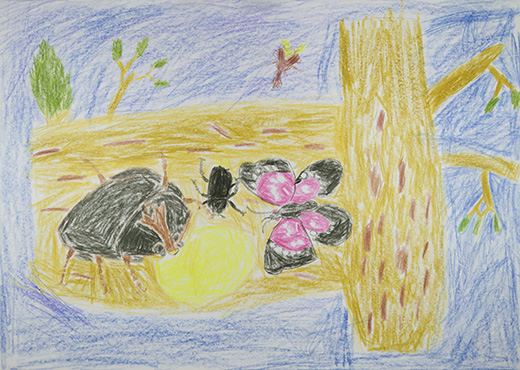 昆虫レストラン